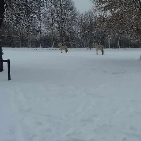 בית כפרי Casas Rurales San Justo *