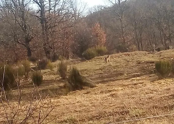 Casas Rurales San Justo